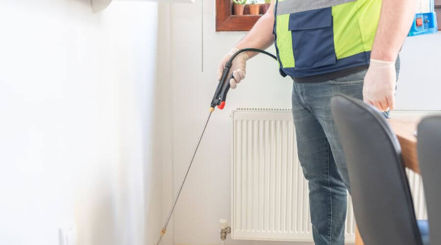 Professional Pest Control services in Victoria Park